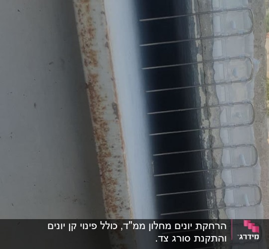 דוקרנים נגד יונים על קיר חיצוני